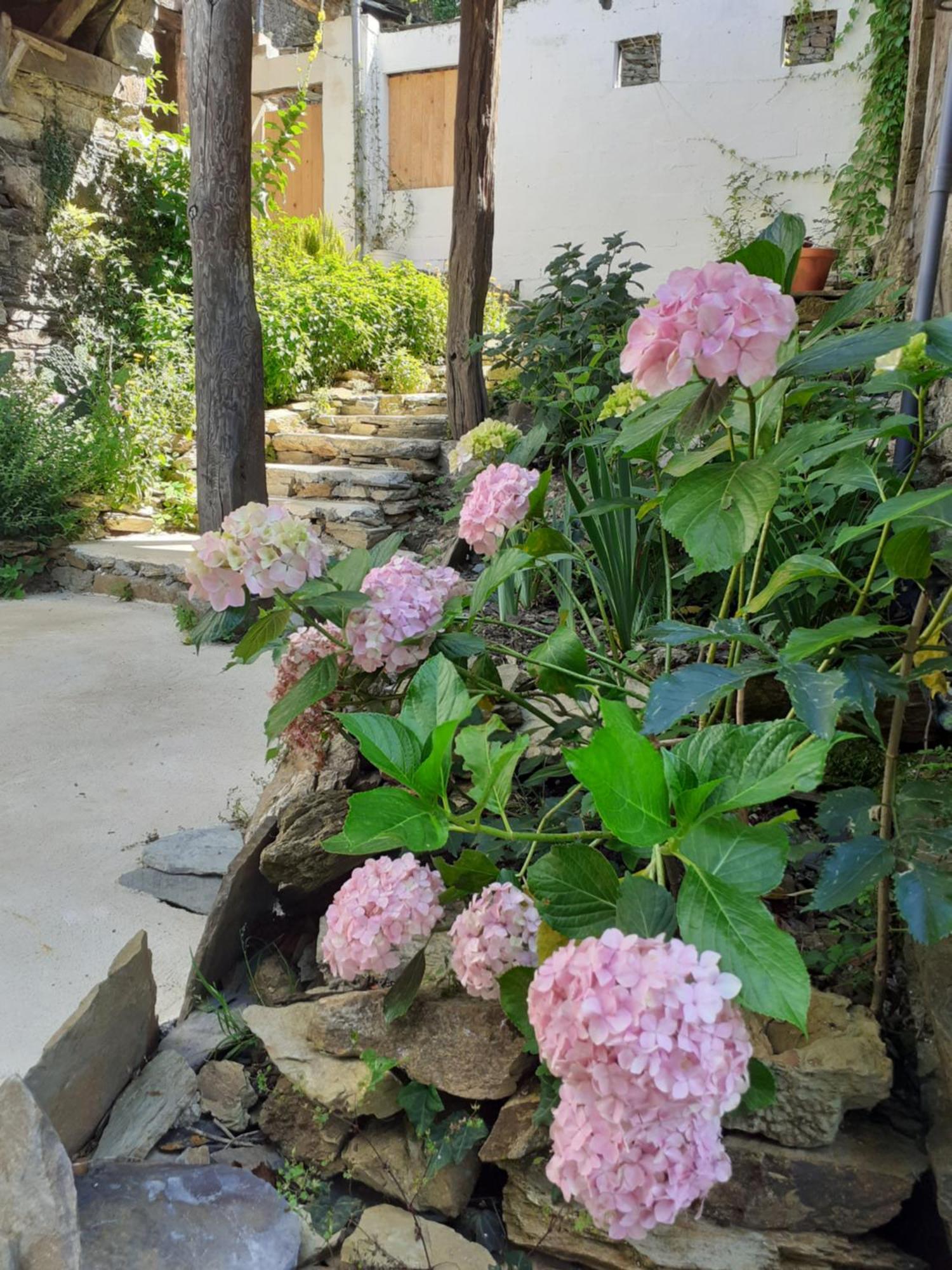 Sons Do Eo Apartamentos Turisticos Baleira Zewnętrze zdjęcie